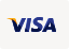 visa icon